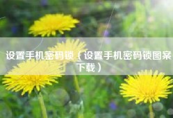 设置手机密码锁（设置手机密码锁图案下载）
