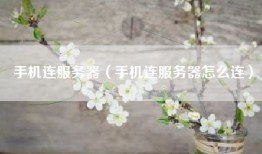 手机连服务器（手机连服务器怎么连）