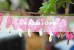 手机怎么同步到电视
