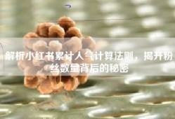 解析小红书累计人气计算法则，揭开粉丝数量背后的秘密