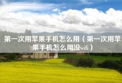第一次用苹果手机怎么用（第一次用苹果手机怎么用没wifi）