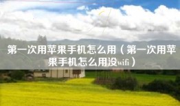第一次用苹果手机怎么用（第一次用苹果手机怎么用没wifi）