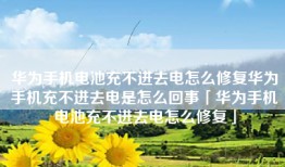 华为手机电池充不进去电怎么修复华为手机充不进去电是怎么回事「华为手机电池充不进去电怎么修复」