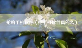 抢购手机软件（抢手机软件真的么）