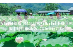 钉钉最新版 v7.5.30.10官方版钉钉下载手机版「钉钉最新版 v7.5.30.10官方版」