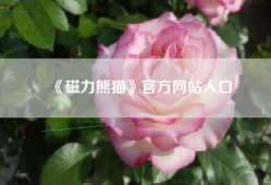 《磁力熊猫》官方网站入口