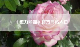 《磁力熊猫》官方网站入口