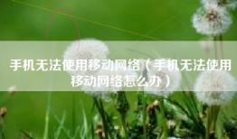 手机无法使用移动网络（手机无法使用移动网络怎么办）