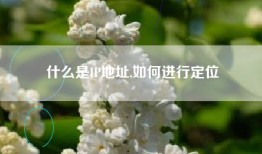 什么是IP地址,如何进行定位