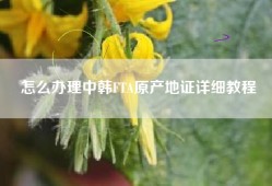 怎么办理中韩FTA原产地证详细教程