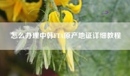 怎么办理中韩FTA原产地证详细教程