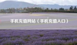 手机充值网站（手机充值入口）