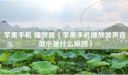 苹果手机 播放器（苹果手机播放器声音很小是什么原因）