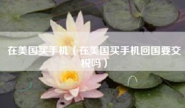 在美国买手机（在美国买手机回国要交税吗）