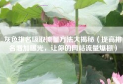 灰色排名吸取流量方法大揭秘（提高排名增加曝光，让你的网站流量爆棚）
