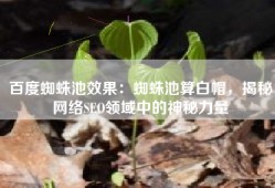 百度蜘蛛池效果：蜘蛛池算白帽，揭秘网络SEO领域中的神秘力量