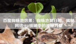 百度蜘蛛池效果：蜘蛛池算白帽，揭秘网络SEO领域中的神秘力量
