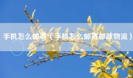 手机怎么邮寄（手机怎么邮寄邮政物流）