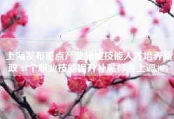 上海发布重点产业领域技能人才培养新政 17个职业技能提升补贴标准上调30%