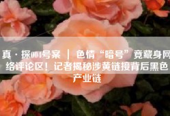 真·探004号案 ｜ 色情“暗号”竟藏身网络评论区！记者揭秘涉黄链接背后黑色产业链