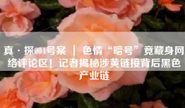 真·探004号案 ｜ 色情“暗号”竟藏身网络评论区！记者揭秘涉黄链接背后黑色产业链
