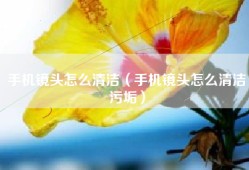 手机镜头怎么清洁（手机镜头怎么清洁污垢）