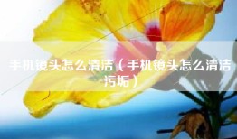 手机镜头怎么清洁（手机镜头怎么清洁污垢）