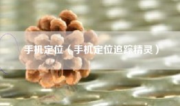 手机定位（手机定位追踪精灵）