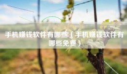 手机赚钱软件有哪些（手机赚钱软件有哪些免费）