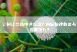 如何让网站快速收录？网站快速收录有哪些技巧？