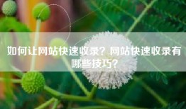如何让网站快速收录？网站快速收录有哪些技巧？