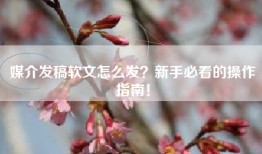 媒介发稿软文怎么发？新手必看的操作指南！