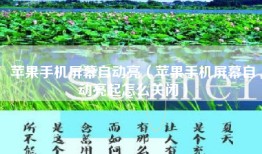 苹果手机屏幕自动亮（苹果手机屏幕自动亮起怎么关闭）
