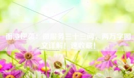 面渣逆袭：微服务三十三问，两万字图文详解！速收藏！