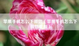 苹果手机怎么下微信（苹果手机怎么下微信教程）