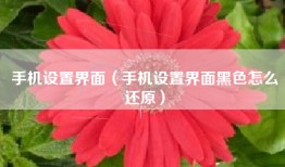 手机设置界面（手机设置界面黑色怎么还原）