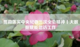 贯彻落实中央纪委三次全会精神丨大数据赋能信访工作