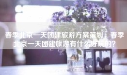 春季北京一天团建旅游方案策划，春季北京一天团建旅游有什么好玩的？