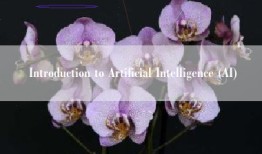 Introduction to Artificial Intelligence (AI)