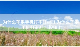 为什么苹果手机打不开wifi（为什么苹果手机打不开wifi按钮）