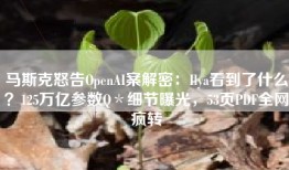 马斯克怒告OpenAI案解密：Ilya看到了什么？125万亿参数Q＊细节曝光，53页PDF全网疯转