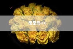 秦皇岛SEO