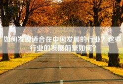如何发现适合在中国发展的行业？这些行业的发展前景如何？