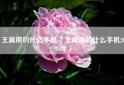 王源用的什么手机（王源用的什么手机2024年）