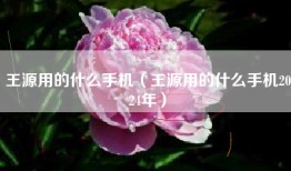 王源用的什么手机（王源用的什么手机2024年）