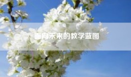 面向未来的教学蓝图