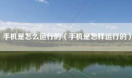 手机是怎么运行的（手机是怎样运行的）