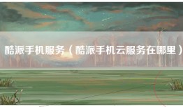 酷派手机服务（酷派手机云服务在哪里）