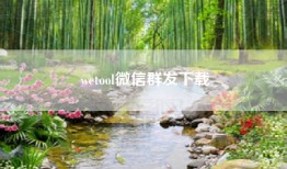 wetool微信群发下载