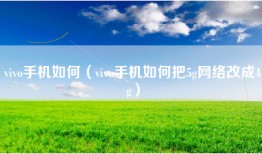 vivo手机如何（vivo手机如何把5g网络改成4g）